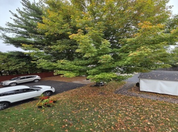 310 Chace Street, Clinton, Massachusetts, 1 Bedroom Bedrooms, 3 Rooms Rooms,1 BathroomBathrooms,Residential Lease,For Rent,Chace Street,73436686