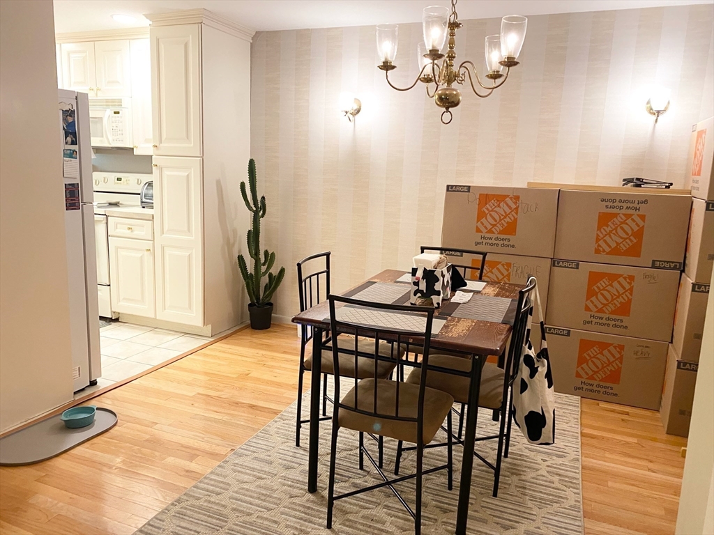 64 Jacqueline Rd, Waltham, Massachusetts, 2 Bedrooms Bedrooms, 5 Rooms Rooms,1 BathroomBathrooms,Residential Lease,For Rent,Jacqueline Rd,73430938