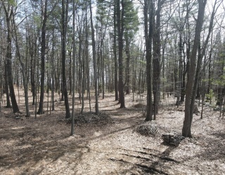 0 Pinnacle Road, Harvard, Massachusetts, ,Land,For Sale,Pinnacle Road,73304358