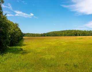 195 Goss Hill Road, Huntington, Massachusetts, ,Land,For Sale,Goss Hill Road,73399483