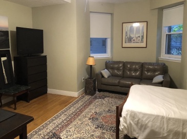 318 Tappan, Brookline, Massachusetts, 1 Room Rooms,1 BathroomBathrooms,Residential Lease,For Rent,Tappan,73409994