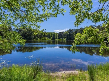 50 Piper Ln, Eastham, Massachusetts, 3 Bedrooms Bedrooms, 5 Rooms Rooms,1 BathroomBathrooms,Residential,For Sale,Piper Ln,73398498