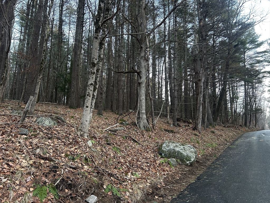 30 South Rd, Sturbridge, Massachusetts, ,Land,For Sale,South Rd,73320627