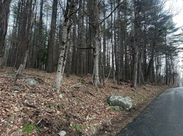 30 South Rd, Sturbridge, Massachusetts, ,Land,For Sale,South Rd,73320627