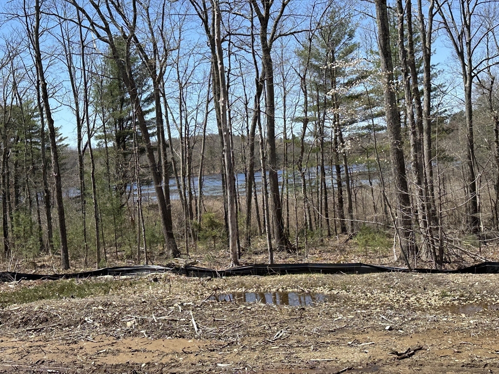 23 Miles Road, Rutland, Massachusetts, ,Land,For Sale,Miles Road,73430843