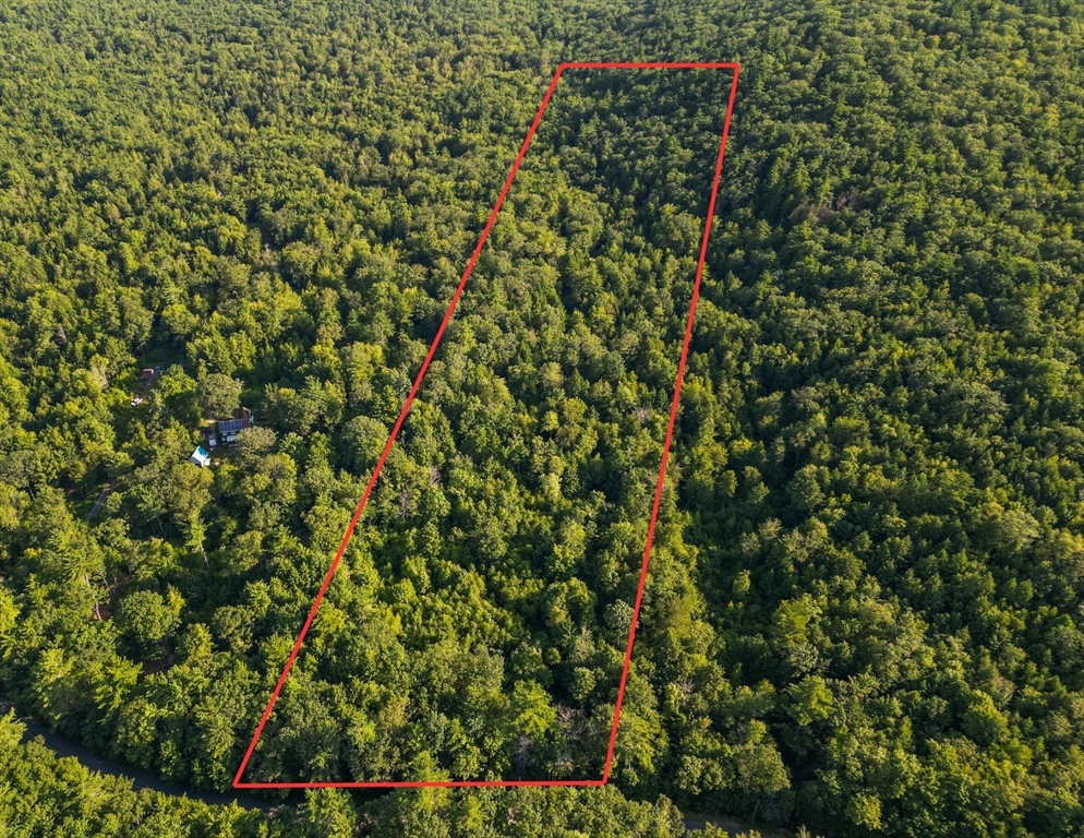 0 Northfield Rd, Warwick, Massachusetts, ,Land,For Sale,Northfield Rd,73384011