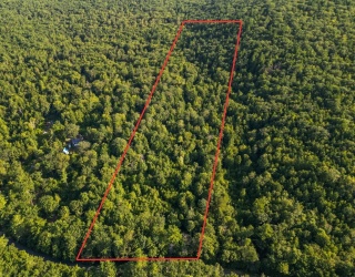 0 Northfield Rd, Warwick, Massachusetts, ,Land,For Sale,Northfield Rd,73384011