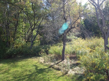 0 Gardner Rd, Templeton, Massachusetts, ,Land,For Sale,Gardner Rd,73434522