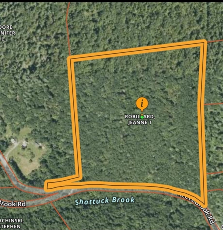 111 Keets Brook Rd, Bernardston, Massachusetts, ,Land,For Sale,Keets Brook Rd,73379710