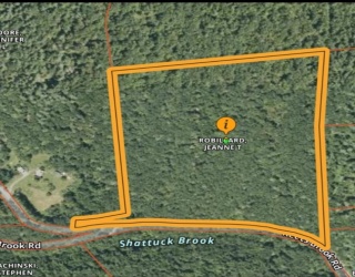 111 Keets Brook Rd, Bernardston, Massachusetts, ,Land,For Sale,Keets Brook Rd,73379710