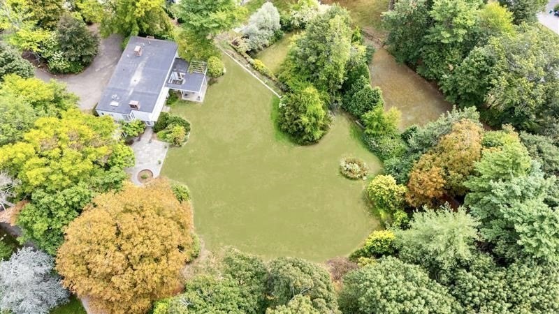 24 Essex Road, Newton, Massachusetts, ,Land,For Sale,Essex Road,73433555