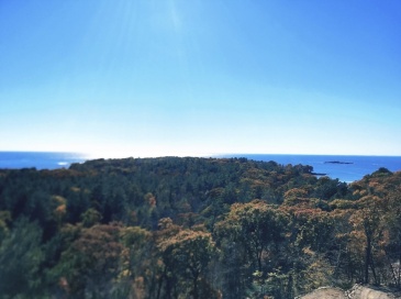 5 Kings Way, Manchester, Massachusetts, ,Land,For Sale,Kings Way,73380403