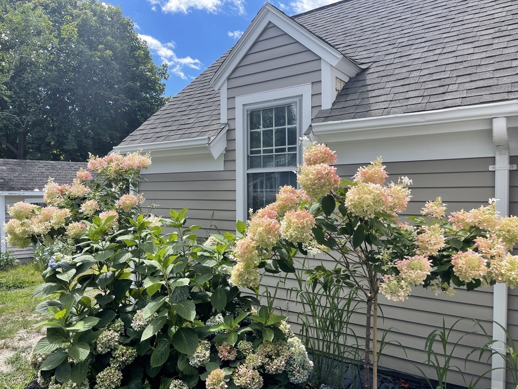 113 Briarwood Ave, Barnstable, Massachusetts, 3 Bedrooms Bedrooms, 5 Rooms Rooms,2 BathroomsBathrooms,Residential,For Sale,Briarwood Ave,73348796