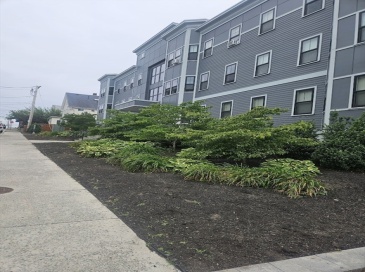 145 Newbury Avenue, Quincy, Massachusetts, 2 Bedrooms Bedrooms, 5 Rooms Rooms,2 BathroomsBathrooms,Residential Lease,For Rent,Newbury Avenue,73413621 145 Newbury Avenue, Quincy, Massachusetts, 2 Bedrooms Bedrooms, 5 Rooms Rooms,2 BathroomsBathrooms,Residential Lease,For Rent,Newbury Avenue,73413621