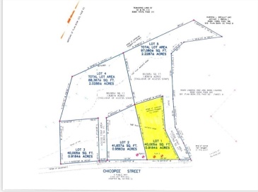 Lot 1 Chicopee Street, Granby, Massachusetts, ,Land,For Sale,Chicopee Street,73327723