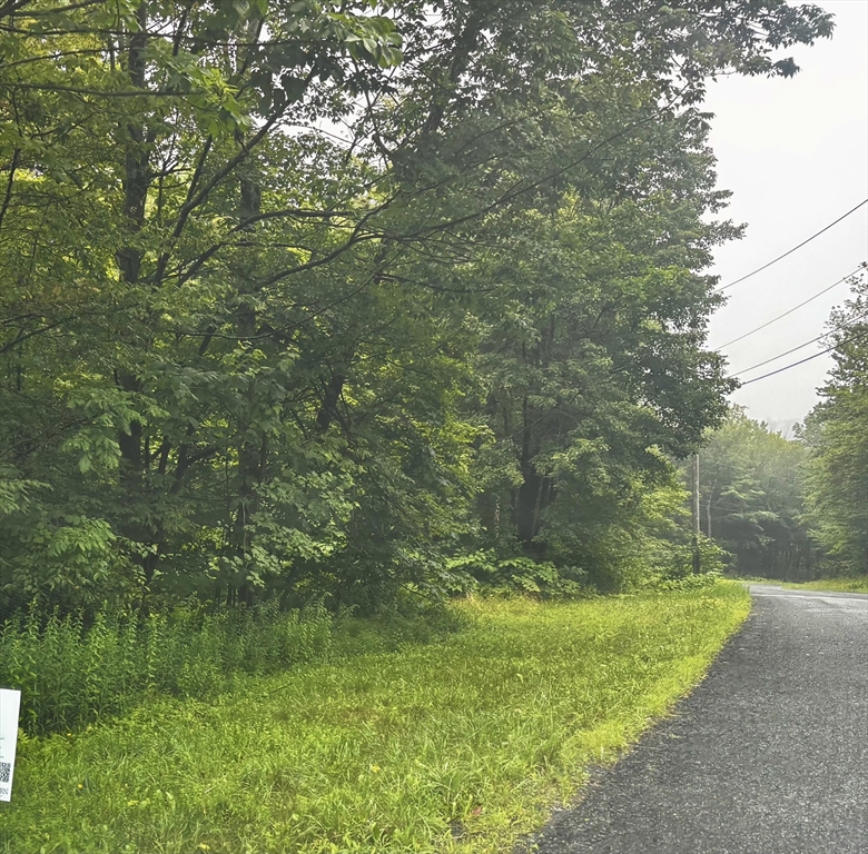Lot 3 Lafayette Dr, Peru, Massachusetts, ,Land,For Sale,Lafayette Dr,73449042