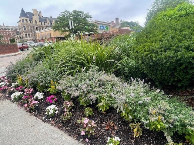 1731 Beacon St, Brookline, Massachusetts, 2 Bedrooms Bedrooms, 5 Rooms Rooms,1 BathroomBathrooms,Residential,For Sale,Beacon St,73412791