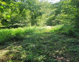 Lot 39.22 Main St, Becket, Massachusetts, ,Land,For Sale,Main St,73418280