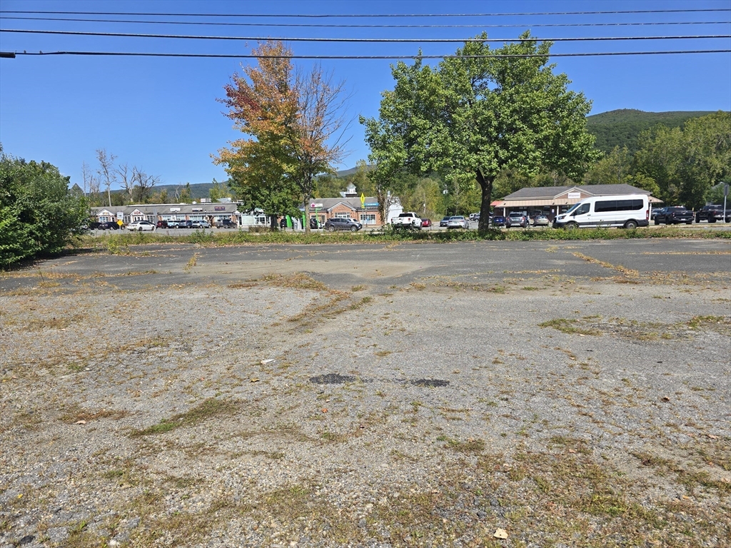 217 Main St, Williamstown, Massachusetts, ,Land,For Sale,Main St,73433244