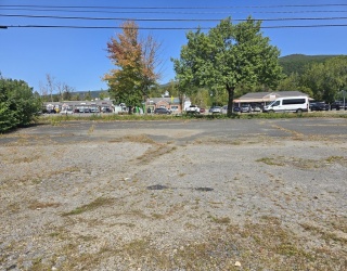 217 Main St, Williamstown, Massachusetts, ,Land,For Sale,Main St,73433244