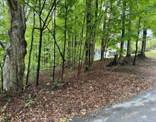 0 Palm Street, Leominster, Massachusetts, ,Land,For Sale,Palm Street,73420027