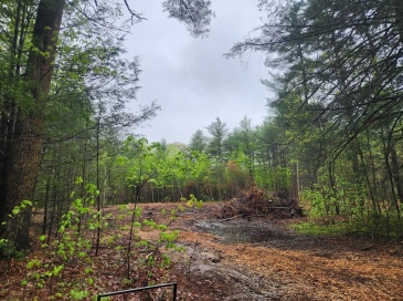 3L Hiland Road, Charlton, Massachusetts, ,Land,For Sale,Hiland Road,73427145