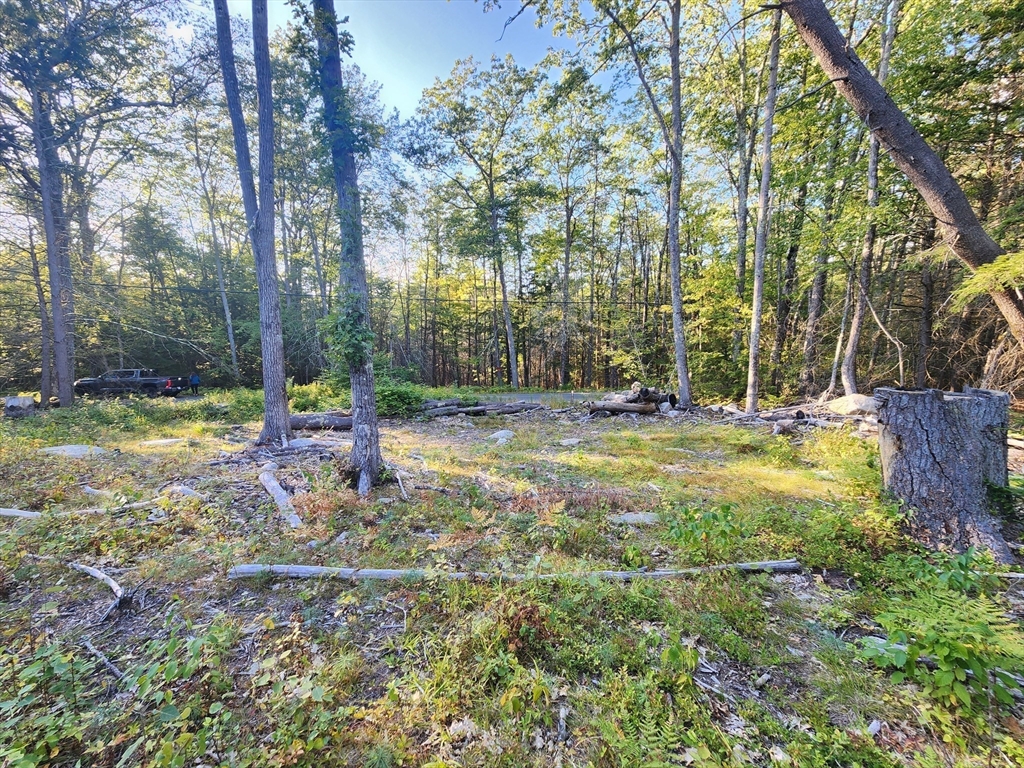 0 Ne Fitzwilliam Rd, Royalston, Massachusetts, ,Land,For Sale,Ne Fitzwilliam Rd,73426111
