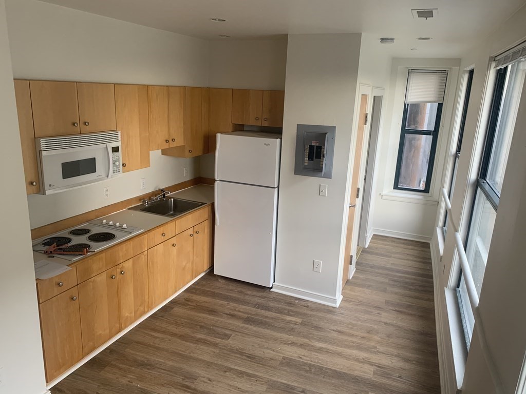 131 Tremont Street, Boston, Massachusetts, 1 Room Rooms,1 BathroomBathrooms,Residential Lease,For Rent,Tremont Street,73418424