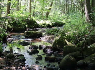 979 Chestnut Street, Athol, Massachusetts, ,Land,For Sale,Chestnut Street,73386588