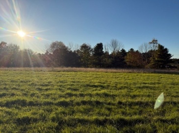 Lot B1 Sampson Rd, Charlton, Massachusetts, ,Land,For Sale,Sampson Rd,73442136