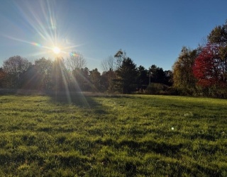 Lot B2 Sampson Rd, Charlton, Massachusetts, ,Land,For Sale,Sampson Rd,73442139