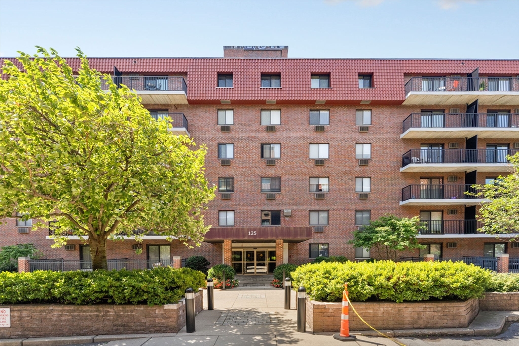 125 Pleasant St, Brookline, Massachusetts, 1 Bedroom Bedrooms, 3 Rooms Rooms,1.5 BathroomsBathrooms,Residential Lease,For Rent,Pleasant St,73410738