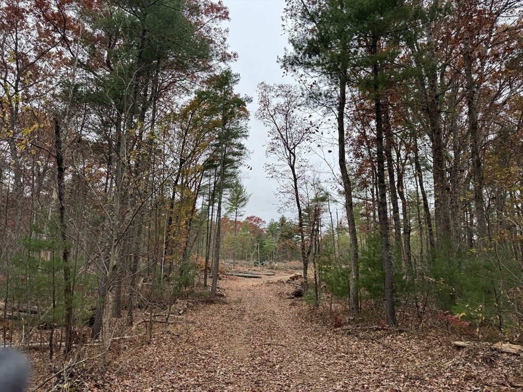 0 Steere Farm Rd, Burrillville, Rhode Island, ,Land,For Sale,Steere Farm Rd,73451641