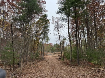 0 Steere Farm Rd, Burrillville, Rhode Island, ,Land,For Sale,Steere Farm Rd,73451641