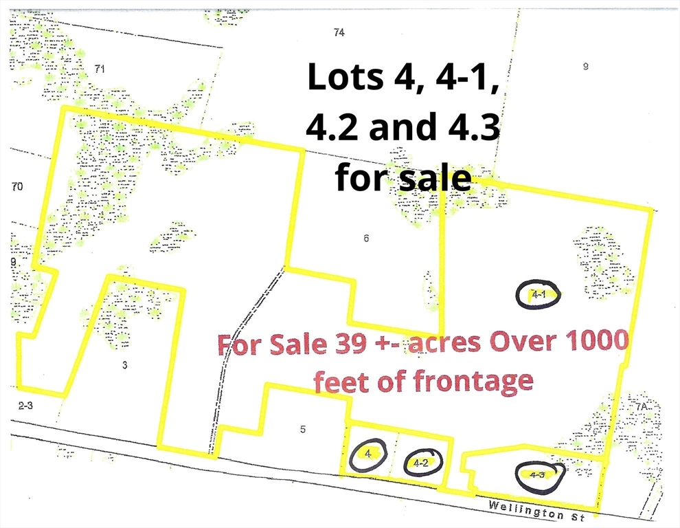 0 Wellington St, Dighton, Massachusetts, ,Land,For Sale,Wellington St,73452287