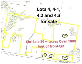 0 Wellington St, Dighton, Massachusetts, ,Land,For Sale,Wellington St,73452287