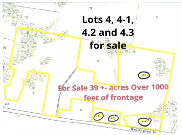 0 Wellington St, Dighton, Massachusetts, ,Land,For Sale,Wellington St,73452287