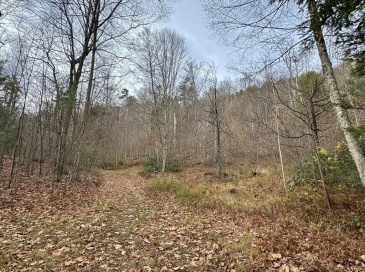 0 West Oxbow Road, Charlemont, Massachusetts, ,Land,For Sale,West Oxbow Road,73453651