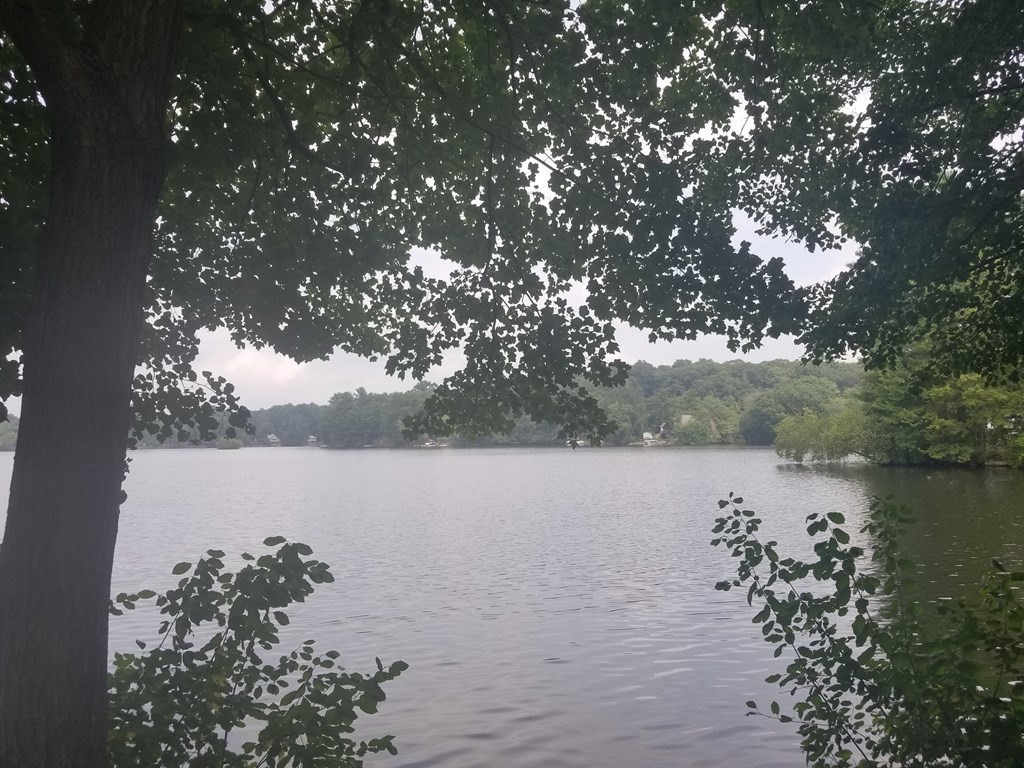 24 Pattison Ave, Dudley, Massachusetts, 2 Bedrooms Bedrooms, 4 Rooms Rooms,1 BathroomBathrooms,Residential Lease,For Rent,Pattison Ave,73453661