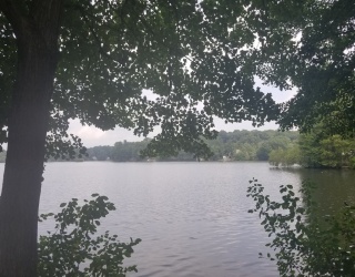 24 Pattison Ave, Dudley, Massachusetts, 2 Bedrooms Bedrooms, 4 Rooms Rooms,1 BathroomBathrooms,Residential Lease,For Rent,Pattison Ave,73453661