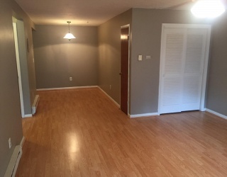55 Will Dr, Canton, Massachusetts, 1 Bedroom Bedrooms, 5 Rooms Rooms,1 BathroomBathrooms,Residential Lease,For Rent,Will Dr,73453789
