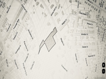 308 Maple St, Springfield, Massachusetts, ,Land,For Sale,Maple St,73455961