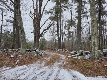 Lot-2 Petersham Road, Phillipston, Massachusetts, ,Land,For Sale,Petersham Road,73457154