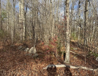 Lot 2 Jourdan Road, Montgomery, Massachusetts, ,Land,For Sale,Jourdan Road,73456292