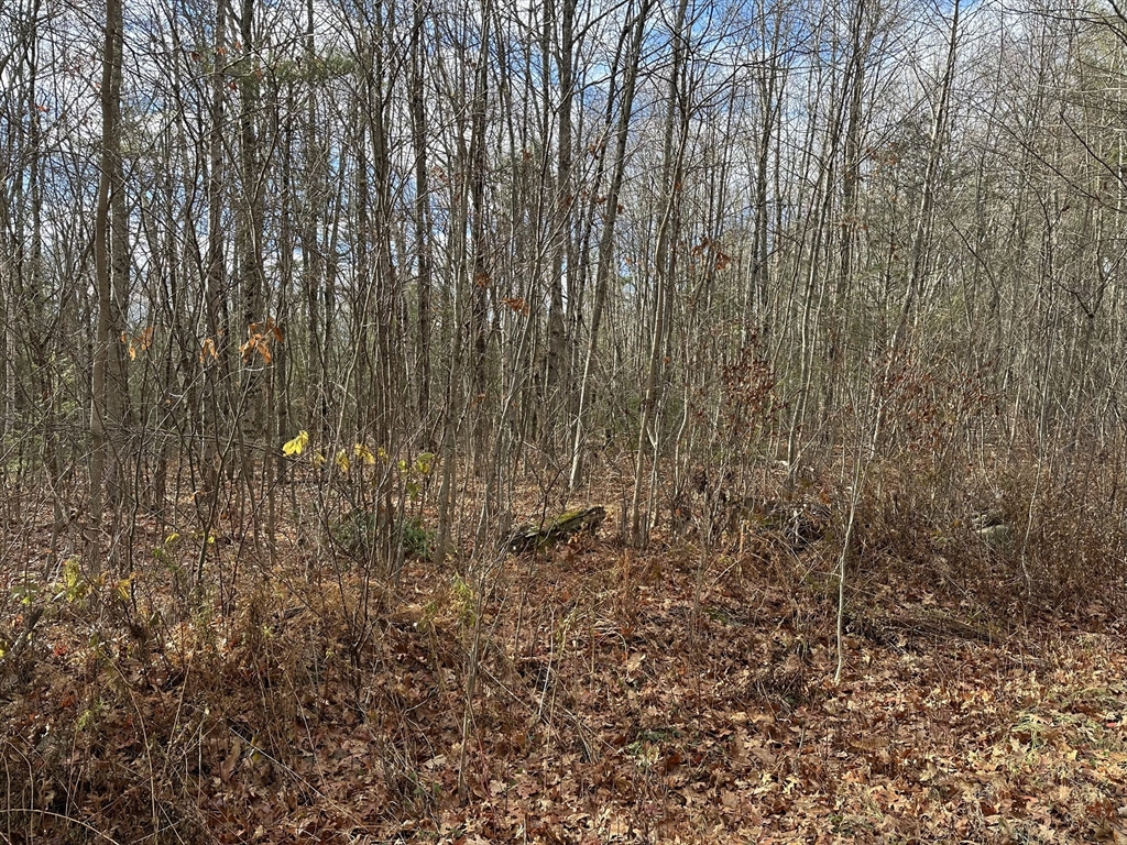 Lot 9 Jourdan Road, Montgomery, Massachusetts, ,Land,For Sale,Jourdan Road,73456293