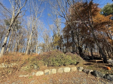 3 Laurel Place, Amesbury, Massachusetts, ,Land,For Sale,Laurel Place,73456993