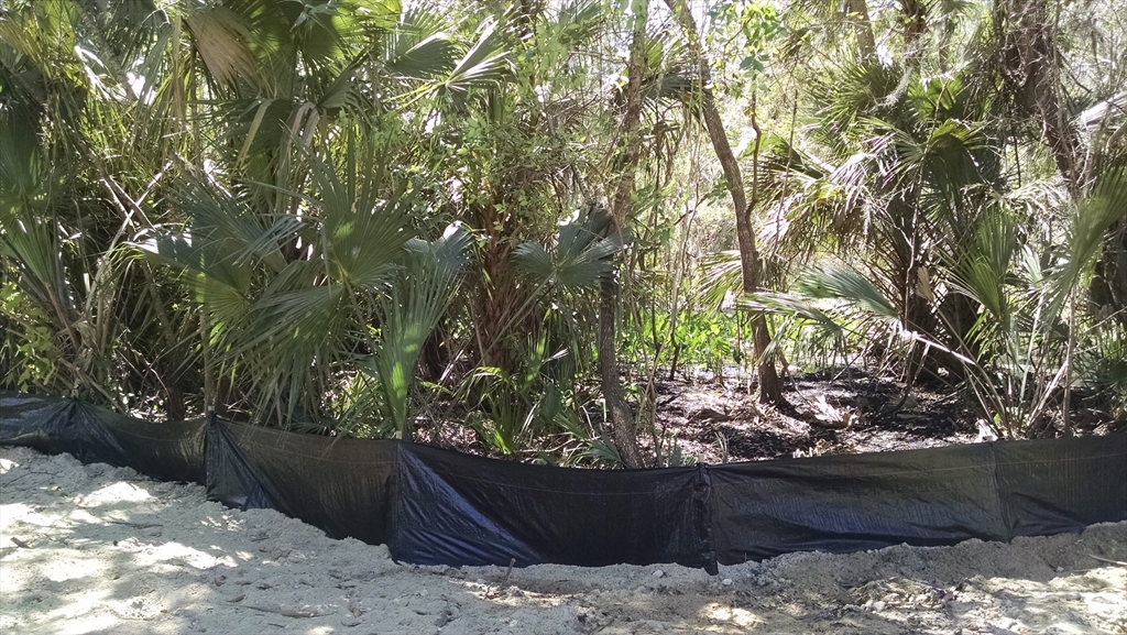 224 Mansion, DeBary, Florida, ,Land,For Sale,Mansion,73457180