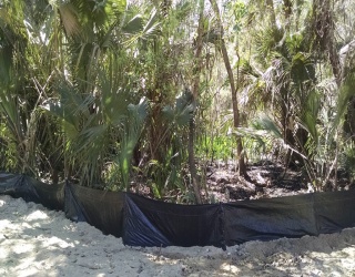 224 Mansion, DeBary, Florida, ,Land,For Sale,Mansion,73457180