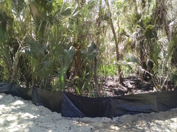 224 Mansion, DeBary, Florida, ,Land,For Sale,Mansion,73457180