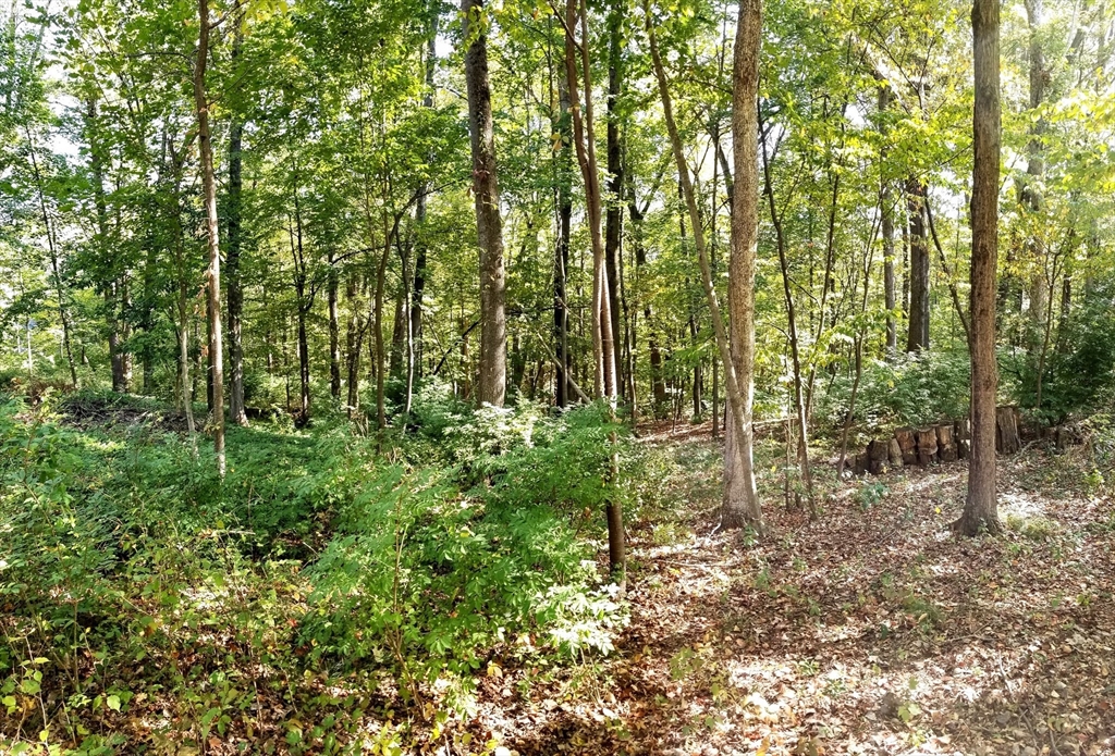 0 Red Gate, Amherst, Massachusetts, ,Land,For Sale,Red Gate,73348273